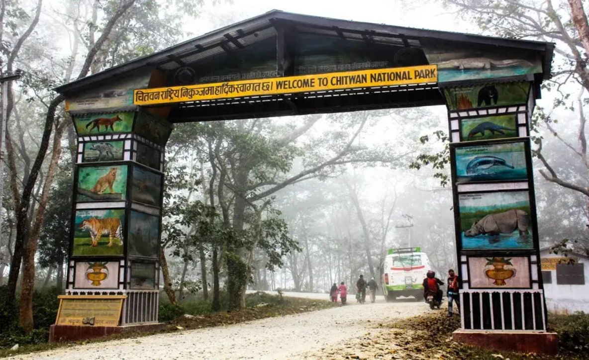 Chitwan national park Nepal, Chitwan national park in nepal, chitwan nepal,